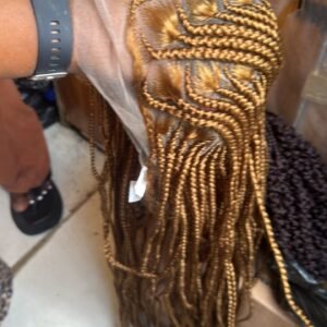 SunKissed Micro Braided Lace Wig